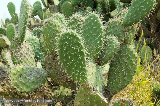 IMG_0660rvwatermarked