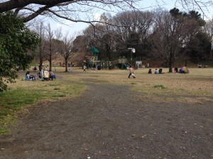 IMG_8026