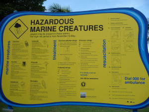 Hazardous Marine Creatures