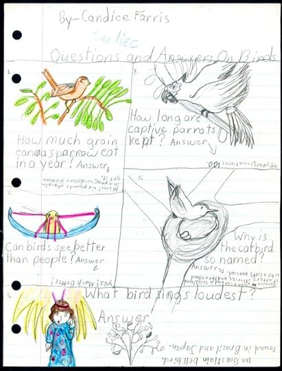 bird page