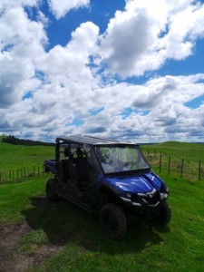 4WD Buggy Car