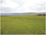 Babyhouse Lane Settlement from the south-west.