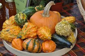 gourds