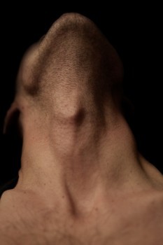 tumblr_o4o28dKXdR1rzywfjo1_540