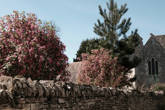 English Cotswolds in spring