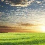 Watching the Wind - Christian Fitness