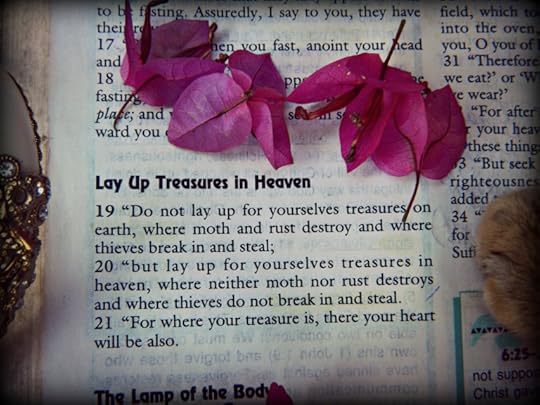 treasure and close up march 2016 DSCN2200.jpg