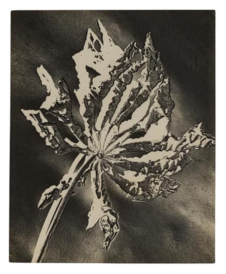 Gertrudes Altschul, Folha morta (Dead leaf), no date. Period of circulation: ca. 1952–59