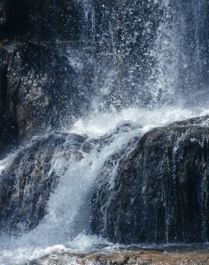 Photo credit: dreamstimefree