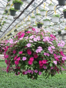 0e266b6a41d64028f8e05540917726f3