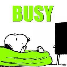 244e2be4e038b17fd992fc33cf2bd9ac