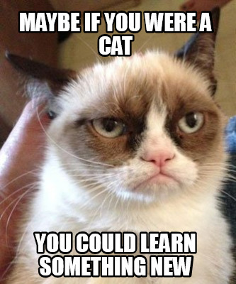 Grumpy Cat Learning