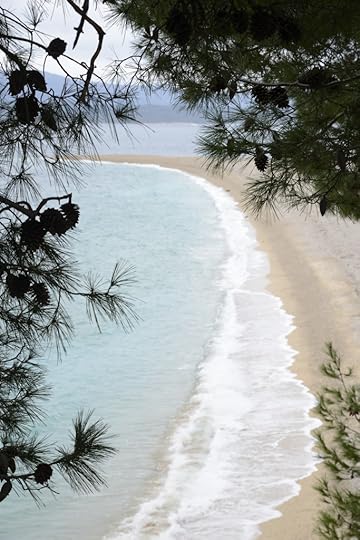 Zlatni Rat beach in Croatia, travel inspiration for beach and nature lovers. (Image © Meredith Mullins.)
