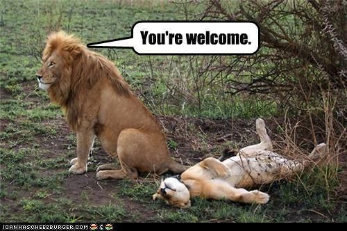  photo 068aa4905fff10a7e1046565828ffd03_zps4i4h1lj9.jpg