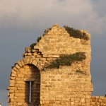 IMG_3428