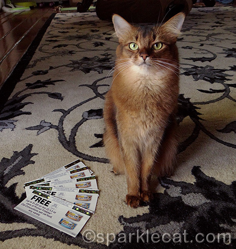 somali cat with Friskies Cat Concoctions coupons