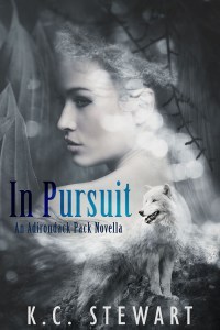 In Pursuit.small