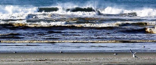 Ocean's Shore