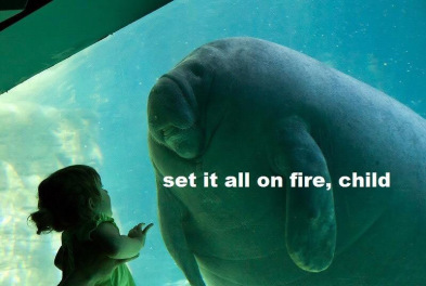 Set It All On Fire