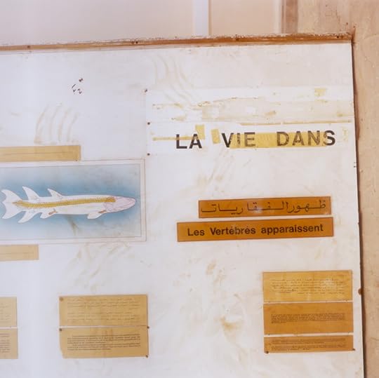 educational board found on site of Azilal Museum Project, Morocco), 2013–15