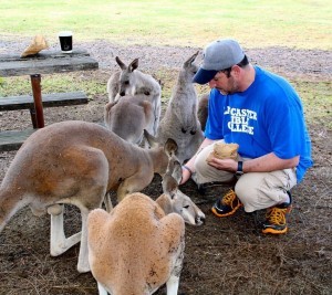 feedingkangaroos