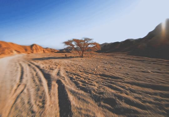 Palm Springs commercial photography