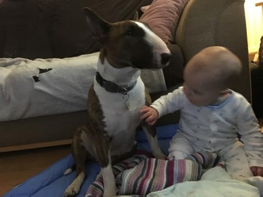 Bully Love