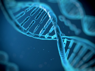 Top x Genetic Variations final