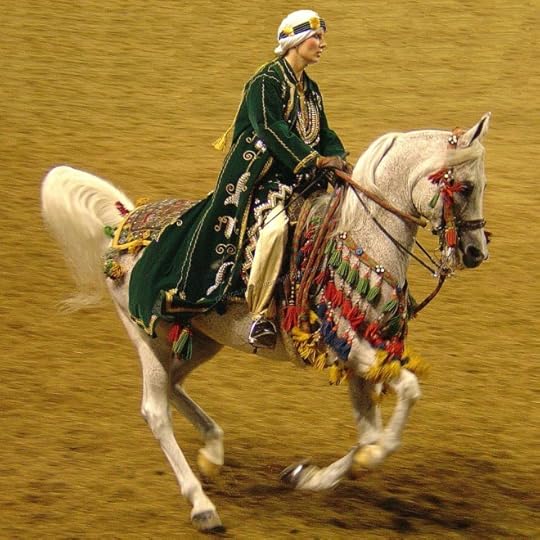 Horse and rider