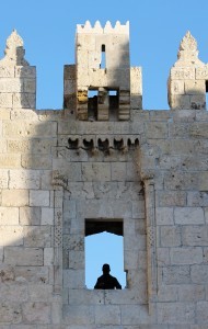IMG_3513