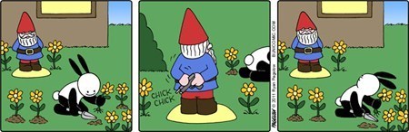 gnome