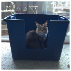 TOTE LITTER BOX2 - Copy