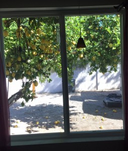 My Office Window Ready for Tiling