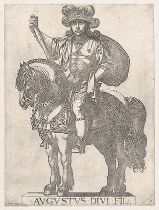 DP857113