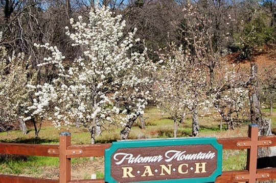ELSIE'S ORCHARD