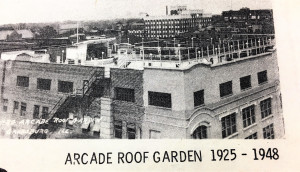The Roof Garden