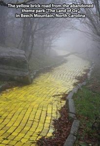 Photo by Sarah Delk, taken at an abandoned Wizard of Oz themed amusement park!