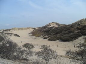 Noordwijk-Dunes