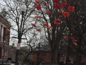 These umbrellas in the tree in Waterville are my kind of April Fools