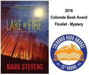 mark stevens book award