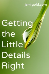 Close up of a water drop on a leaf with text: Getting the Little Details Right