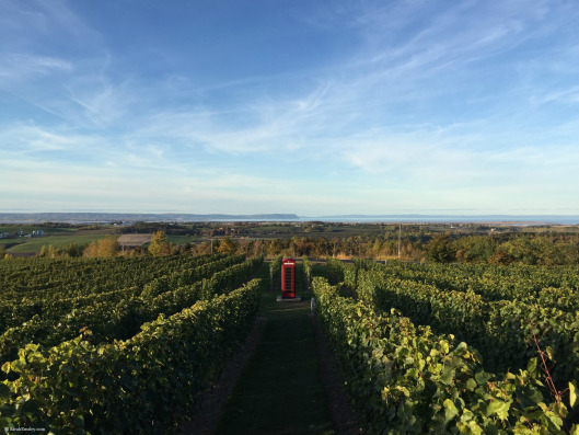 Luckett Vineyards