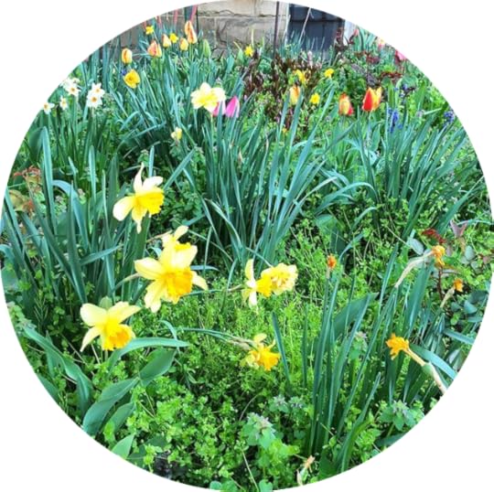 12502018_1574580036185701_1709976587_n