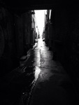IMG_4488