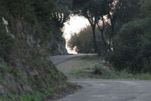 IMG_2440 - Copy