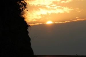 IMG_2445