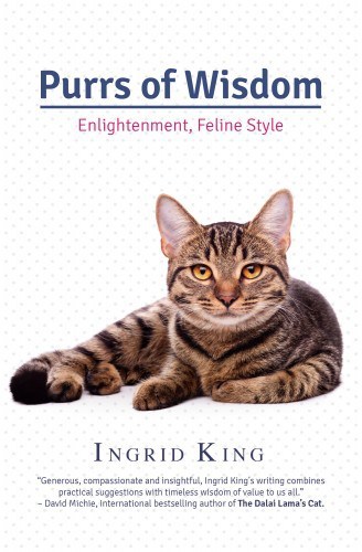 purrs-of-wisdom