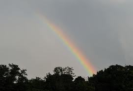 When to Let God of Your Completed Novel