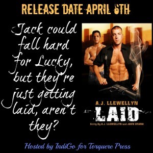 Laid Square v2