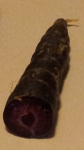 purple carrots 3